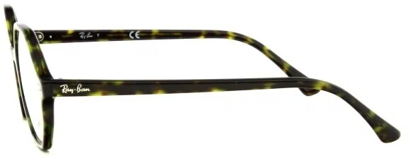 Оправа для очков Ray-Ban Britt RX 5472 2012