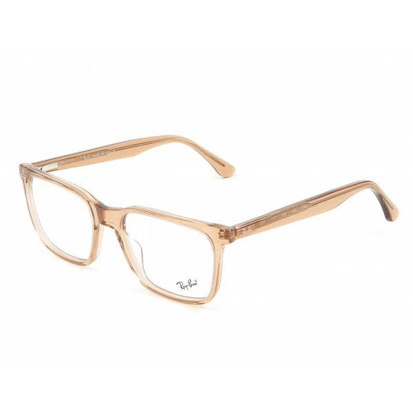 Оправа Ray Ban, GZ 2500 C2
